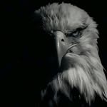 Aiden Bray - @bray_aiden - Instagram
