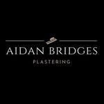 Aidan Bridges - @aidan_bridges_plastering - Instagram