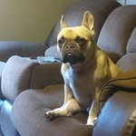 Aiden Bridges - @aggravaiden08 - Instagram
