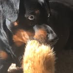 Aiden Bridges - @bridges_aiden - Instagram