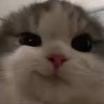 Aidenbridges - @pooptaits - Instagram
