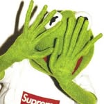 aiden britt - @supremekermit3 - Instagram