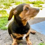 Aiden Britt - Facebook