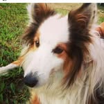 aiden_brittingham_ - @aiden_brittingham_ - Instagram