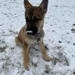 Aiden Brooks - Facebook