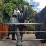 Aiden Brown - @aidenbrowney4 - Instagram