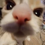 Aiden Bruce - @adjustedcloud10 - Instagram