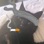 Aiden Bruce - @_aiden_bruce_ - Instagram