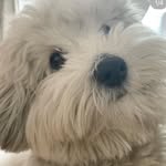 Aiden Buchana - @aidenbuchanan0813 - Instagram