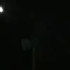 Aiden Buckley - @aiden.buckley3 - TikTok