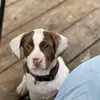 aidensbuckley08 - @xx_kingofvinkle_xx - TikTok