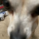Aiden Bush - Facebook