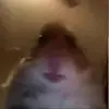 Aiden - @aiden_byrd - TikTok
