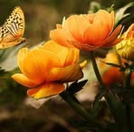 Aiden Cameron - Facebook