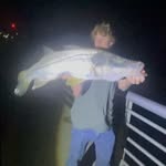 Aiden Cameron - @aidencameron_ - Instagram