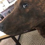 @aiden_campos_20 - Instagram