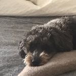 Aiden Carmichael - @aids_6996 - Instagram
