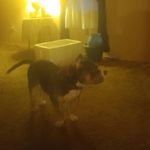 Aiden Carmichael - @ai.den147 - Instagram