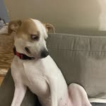 Aiden Carpenter - @yo.wassup007 - Instagram
