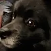 user1104362863291 - @carrera.aiden - TikTok