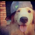 Aiden Carrillo - Facebook