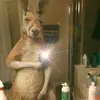 Aiden Carrillo. - @aiden.carrillo7 - TikTok