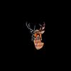 Aiden_Carson - @aiden_carson0 - TikTok