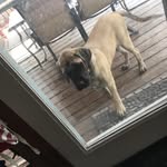 Aiden Carson - @aidencarson9 - Instagram