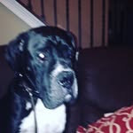 Aidan Cassidy - @aidan.cassidy - Instagram