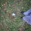 aidencastro0216 - @aidencastro0216 - TikTok