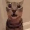 aidencastroreal - @aidencastroreal - TikTok