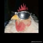 @aiden_chaney10 - Instagram