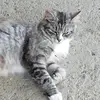 Aiden Charles - @aiden.charles3 - TikTok