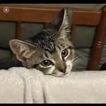Aiden Cochran - @ac85212 - Instagram