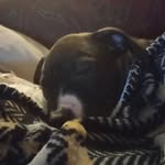 Aiden - @aiden.conley.79 - Instagram