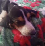 Aiden Conley - Facebook