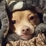 Aiden Conley - @aiden.conley.52 - Instagram