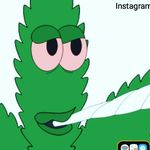 aiden cook - @aiden_cook21 - Instagram