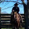 Aiden crowder - @keystone_kid2 - TikTok