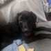 Aiden Crump - Facebook