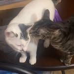 Aiden Dailey - @dailey_aiden - Instagram