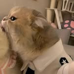 Aiden Dailey - @itsjs_aiden - Instagram
