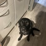 Aiden David - Facebook