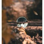 Aiden Davis - Facebook