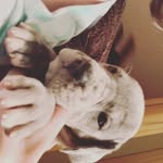 Aiden Denzer - @denzeraiden - Instagram