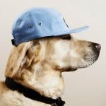 Aiden Dodge - @aidendodge - Instagram