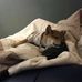 Aiden Dodge - Facebook