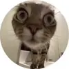 ㅤㅤㅤㅤㅤㅤ - @aiden_dodge - TikTok