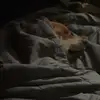 Aiden Dodson - @aiden.457 - TikTok