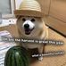 Aiden Dominguez - Facebook